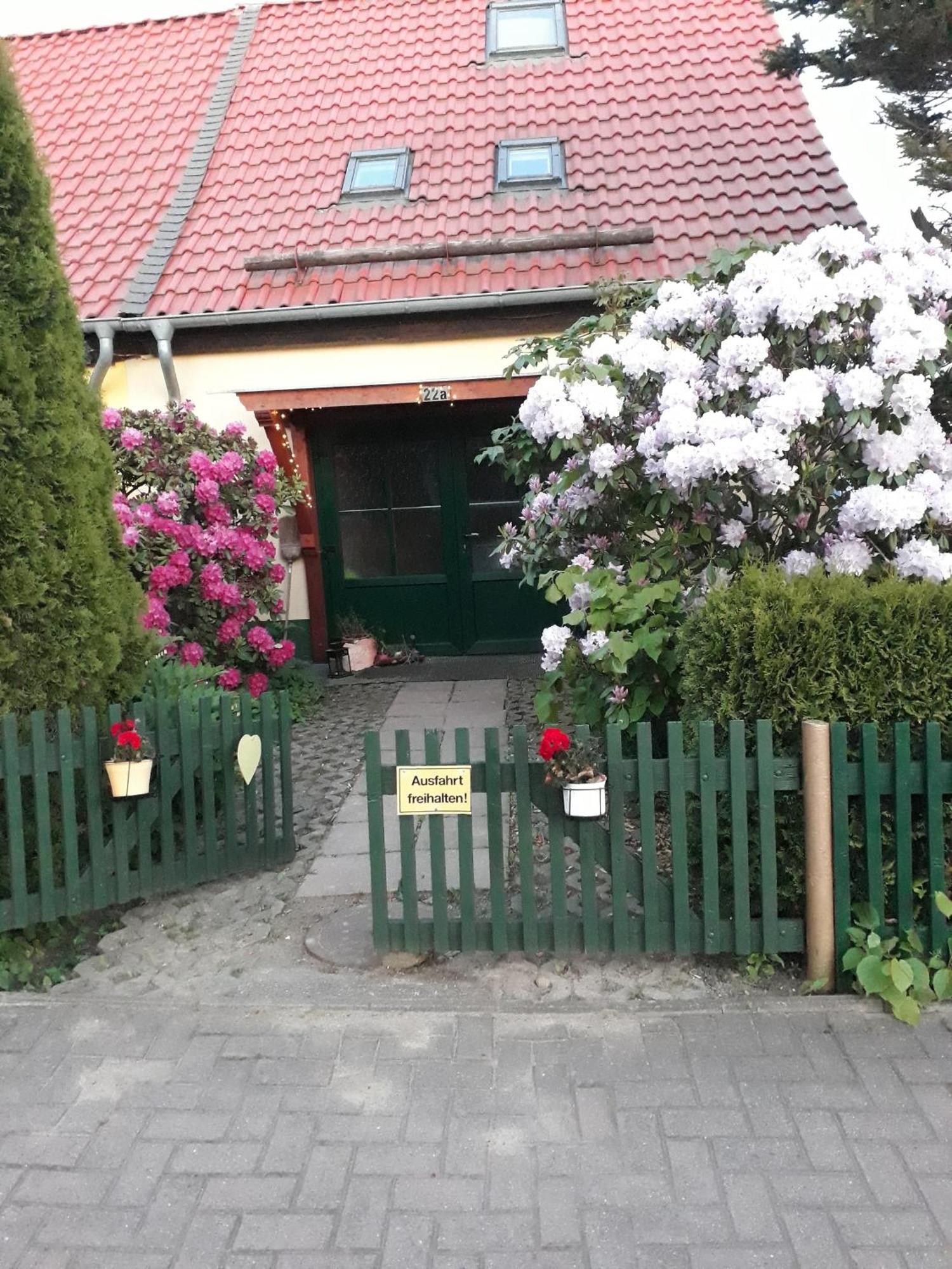 Harzglueck Villa Thale Exterior photo